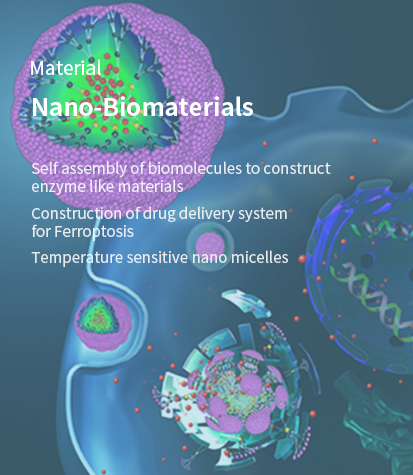 Nano biomaterials